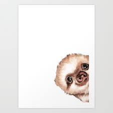 sneaky baby sloth art print by big nose