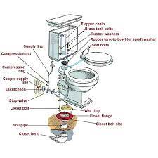Toilet Installation Shower Plumbing