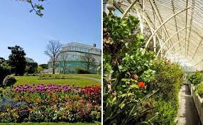 Botanic Gardens Dublin A Handy 2023 Guide