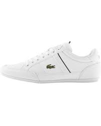 lacoste shoes for men up