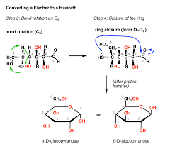 A fischer projection may not be rotated by 90 degrees. Converting A Fischer Projection To A Haworth And Vice Versa Master Organic Chemistry