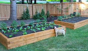 How To Build Raised Garden Beds For