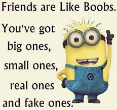 Sometimes the only thing i can say is really? might not be tonight,tomorrow or the next day.but. True Friends Minion Quotes Friends 35 Quotes
