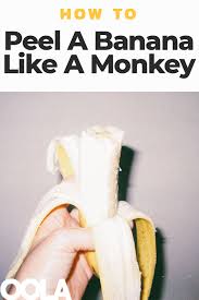 In her panic, natalie forgot how to open the banana she was carrying, was unable to drop the peel in her wake, the boar tragically retained his footing, and.i'm sorry, i can't continue, the memory is too fresh. How To Peel A Banana Like A Monkey Oola Com