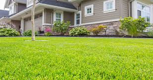 Country lawn care, inc is fully licensed and insured. Lawn Mowing Services Central Coast Nsw Lawn Care