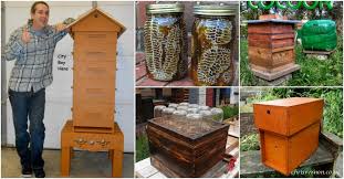 Discover now different types of bees houses and bees hotels and how to build a diy bees when drilling a bee house, keep the holes about 4 mm small, and make sure you don't drill to the end, as that will deter bees from approaching. 10 Diy Beehives You Can Add To Your Backyard Today Diy Crafts