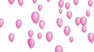 pink balloons on white background