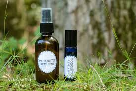 Homemade Mosquito Repellent Spray With