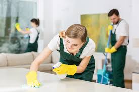 how professional housekeeping services