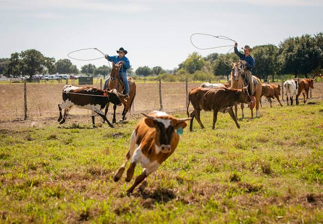 The George Ranch