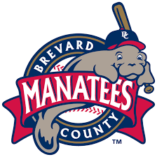 brevard county manatees primary logo
