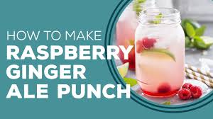 raspberry ginger ale punch by paula