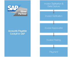 Solutions For The Procure To Pay Process In Sap D Velop Ag
