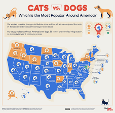 preference for cats or dog mapped