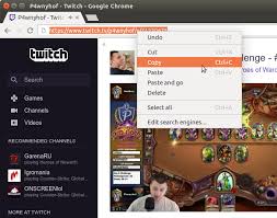 100% safe and virus free. How To Download Gaming Streams From Twitch 4k Download