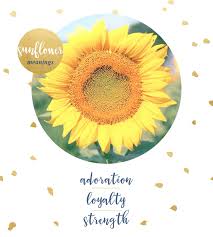 Flowers and meanings behind them. Sunflower Meaning And Symbolism Ftd Com