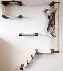 Wall Mounted Cat Shelving Your Cat Will