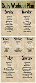 Daily Workout Plan 7 Days Daily