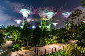 night view supertree grove gardens by