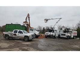 Maybe you would like to learn more about one of these? 3 Best Tree Services In Dayton Oh Expert Recommendations