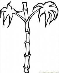 Check out some of our favorite bamboo coloring pages. Bamboo 3 Coloring Page For Kids Free Trees Printable Coloring Pages Online For Kids Coloringpages101 Com Coloring Pages For Kids