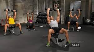body beast muscle building program