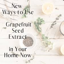 ways to use gfruit seed extract in