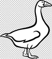 Duck black and white clip art. Canada Goose Duck Png Clipart Animals Artwork Beak Bird Black And White Free Png Download