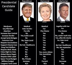 Candidate Comparison Chart A Heapin Plate Of Conservative