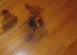 black urine sns from hardwood floors