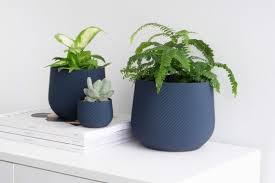 Blue Plant Pot Blue Planter Indoor
