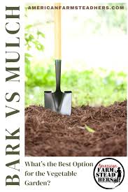 bark vs mulch the best option in the