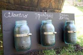 How To Grow Herbs In A Mason Jar