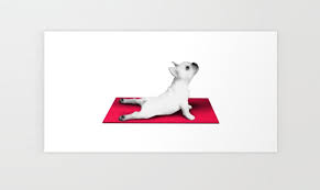 Design Yoga Dog Red Mat Wall Art Print