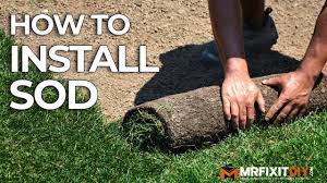 Push it over the sod to press it down firmly against the soil. How To Install Sod A Diy Guide Youtube