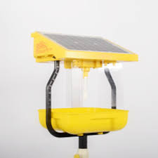 solar insect light