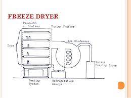 drying of food diy freeze dryer making