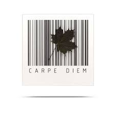 Looking for the definition of diem? Barcode Board Carpe Diem Country Living Onlineshop