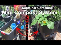 Set Up Growing Container Gardening With
