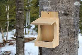 My Dinky Bird Feeder Downeast Thunder