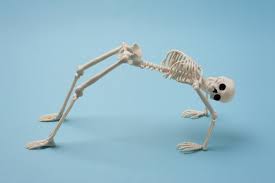 how many bones are in the human body