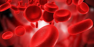 Image result for खून की कमी