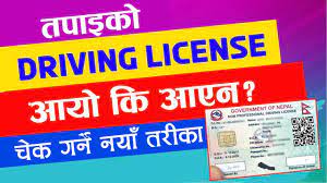 check driving licence status