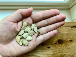 how to save squash seeds home for