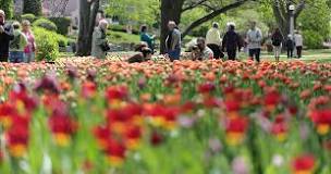where-does-the-canadian-tulip-festival-take-place
