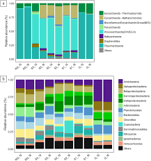 Prokaryotic Diversity And Distribution In Different Habitats