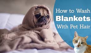 how to wash blankets with pet hair