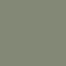 Pale Eucalypt Cb 12 Paint Colour