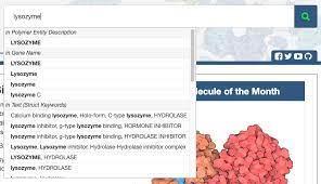 Nguyen received a $62,500 grant from google to develop a personal data search. Rcsb Pdb Homepage