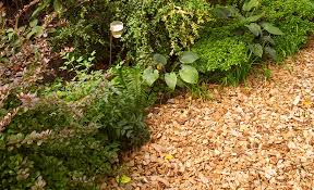 Wood Chip Mulch From A Tree Service